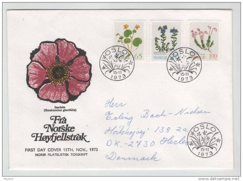 Norway FDC Flowers 15-11-1973 With Cachet  And Sent To Denmark - FDC