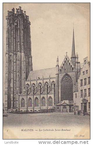 3 Malines - La Cathédrale Saint-Rombaut - Malines