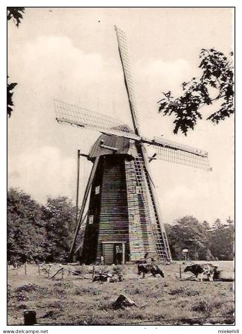 BOKRIJK -MOLEN-MOULIN-MUHLE - Genk