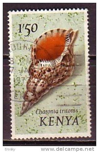 B0182 - KENYA Yv N°44 COQUILLAGE SHELLS - Kenya (1963-...)