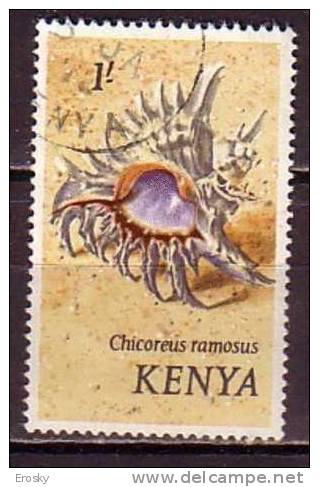 B0181 - KENYA Yv N°43 COQUILLAGE SHELLS - Kenya (1963-...)