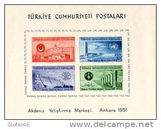 Turchia - 1952 - FOGLIETTO N° 4 - Nazioni Unite  NUOVO ** - Neufs