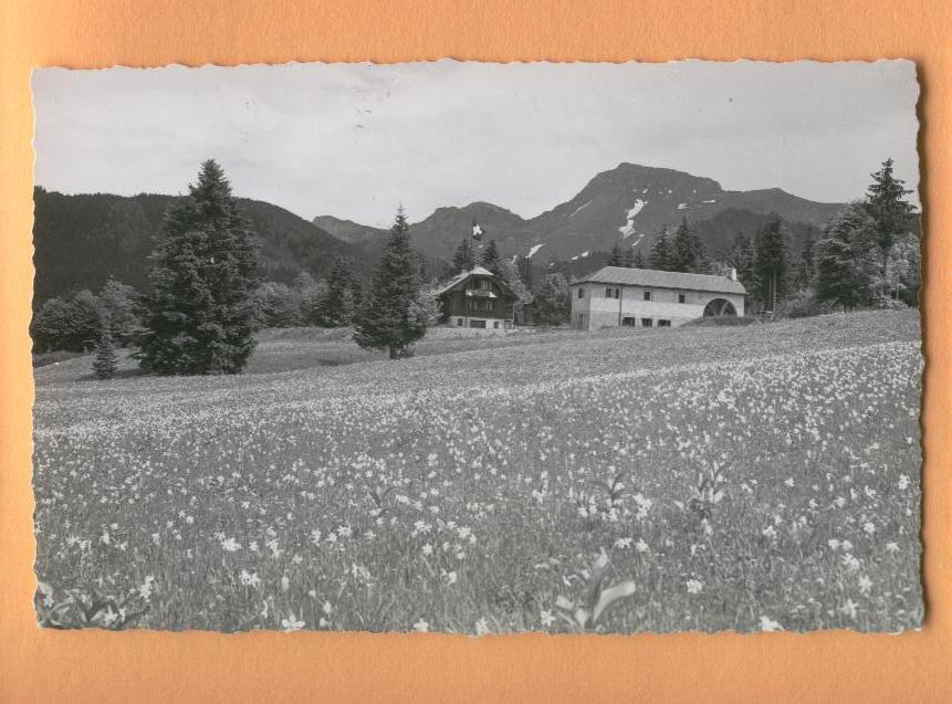 H988 Les Paccots Châtel-St-Denis Notre-Dame Des Neiges,champ De Narcisses.Cachet Linaire Châtel-St-D. 1944.Glasson 2672 - Autres & Non Classés