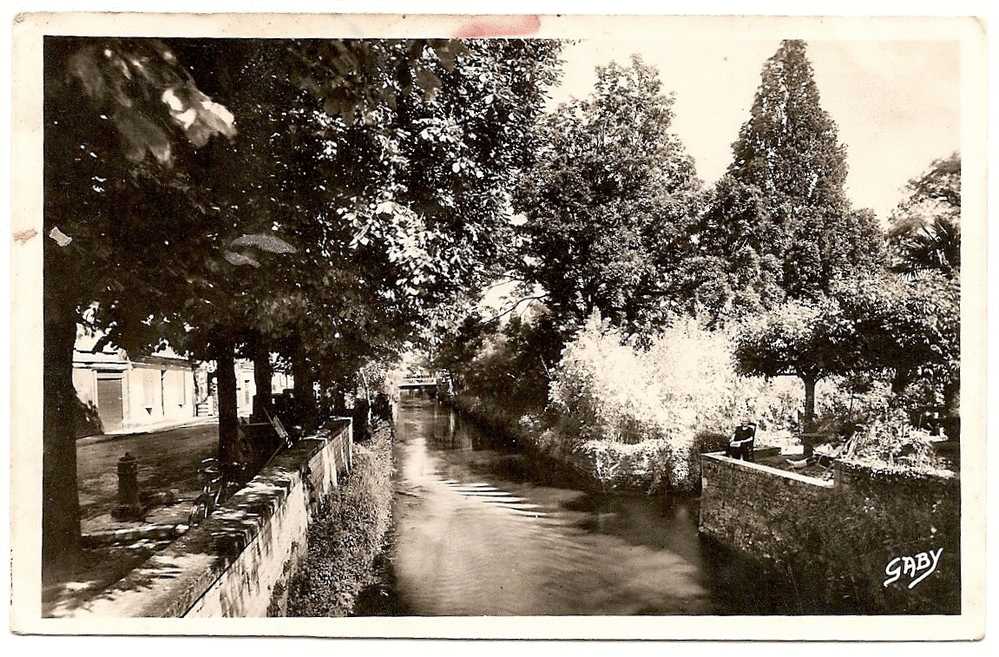 17 - Saujon - Vue D'un Pont Sur La Seuldre [ = Seudre !!!]dans La Rue Carnot - éd. Artaud / "Gaby" N° 15 (circulée 1951) - Saujon