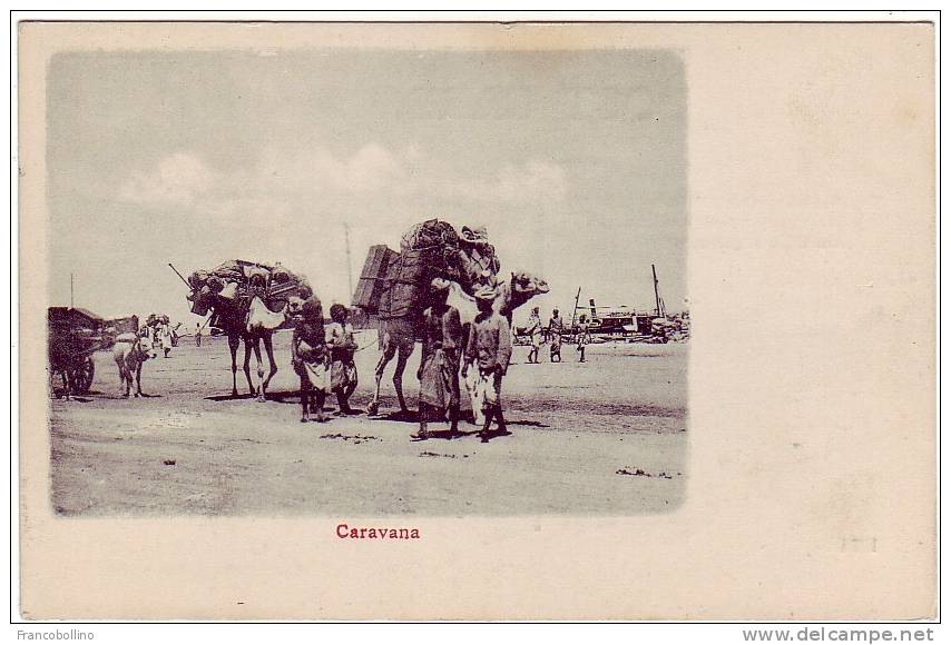 ADEN / YEMEN / ARABIE - CARAVANA - CAMEL - ATTELAGE - Yémen