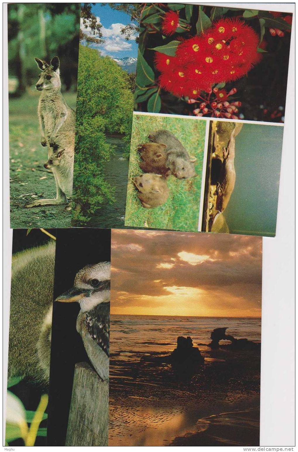 AUSRTALIA-Natural Heritage Selection-Pre-Stamped Postcard- Series IV--set Of 6--postal Stationery - Postal Stationery