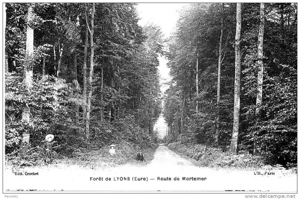 Forêt De Lyons - Route De MORTEMER - Lyons-la-Forêt