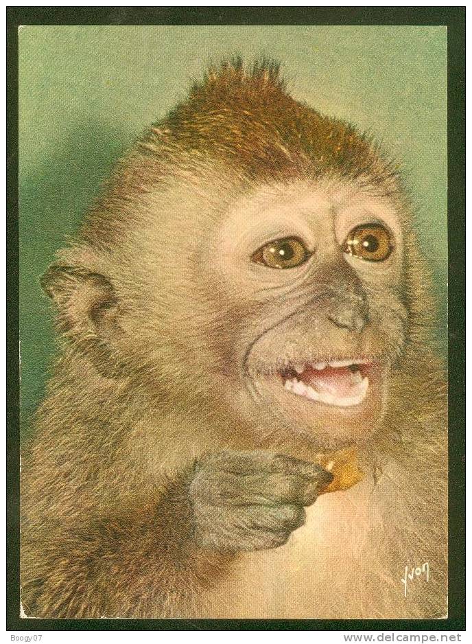 Belle Carte Animal Singe Et Singeries N° 7 Editeur Yvon - Monos