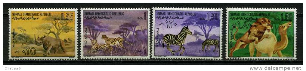 Somalie** N° 134 à 137 - Animaux Sauvages : Rhinocéros, Léopards, Zèbres, Lion Et Dromadaire - Somalie (1960-...)