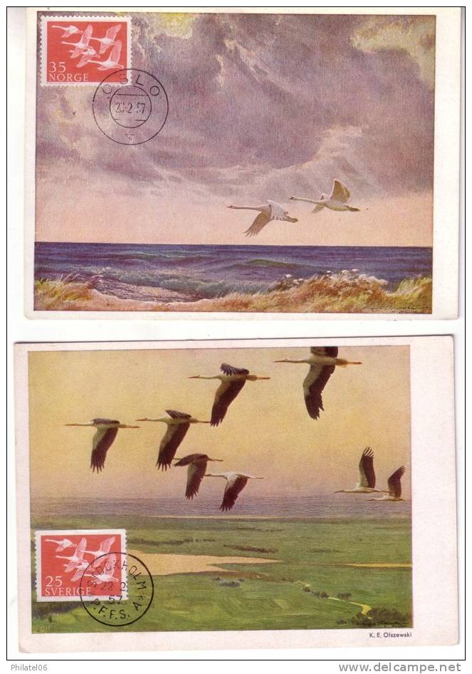 BEL ENSEMBLE DE 2 CARTES MAXIMUM,OIES SAUVAGES, (SUEDE ET NORVEGE) 1957 - Cygnes