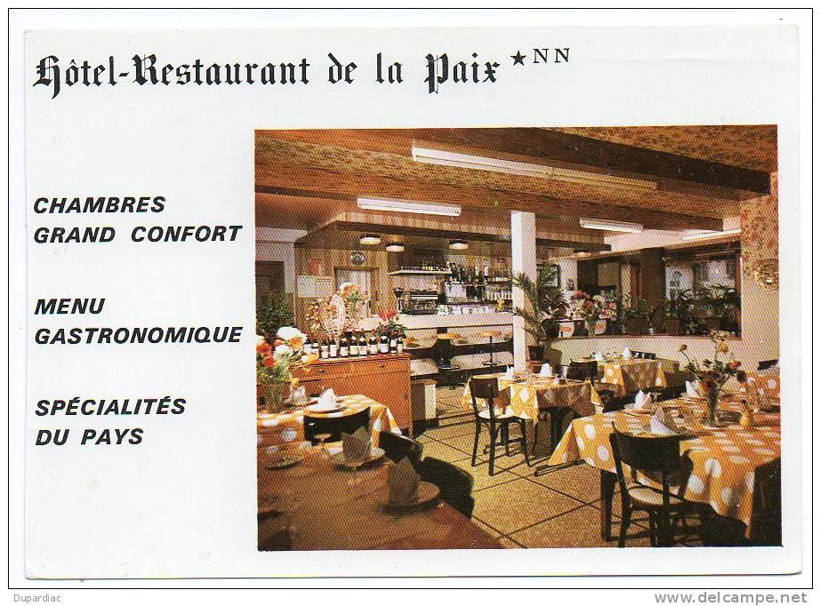 32 - Gers /   RISCLE : Hôtel - Restaurant De La Paix, Michel CAUPENNE Propriétaire. - Riscle