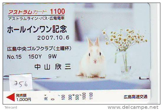LAPIN Rabbit KONIJN Kaninchen Conejo (756) - Konijnen