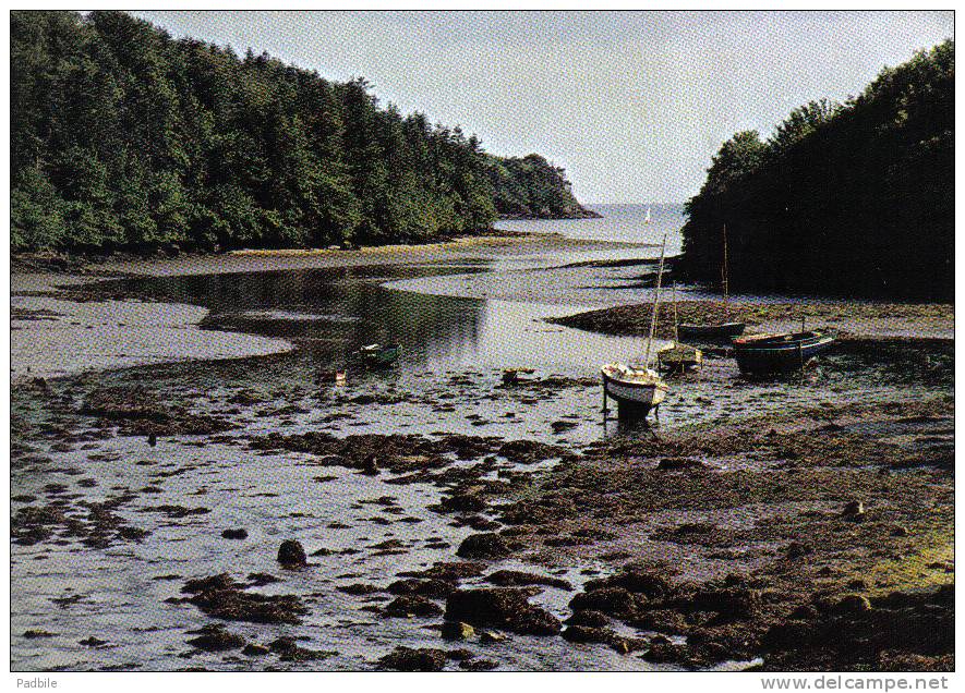 Carte Postale 29.  La Forêt Fouesnant  L'Anse De Saint-Laurent  Trés Beau Plan - La Forêt-Fouesnant