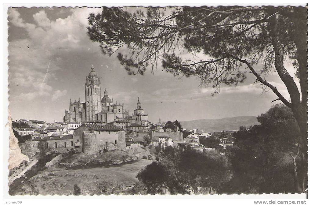 ESPAGNE - SEGOVIA - CPA - N°19 - La Cathédrale, Vue De La Fôret De Pins - Vista General - Segovie - Segovia