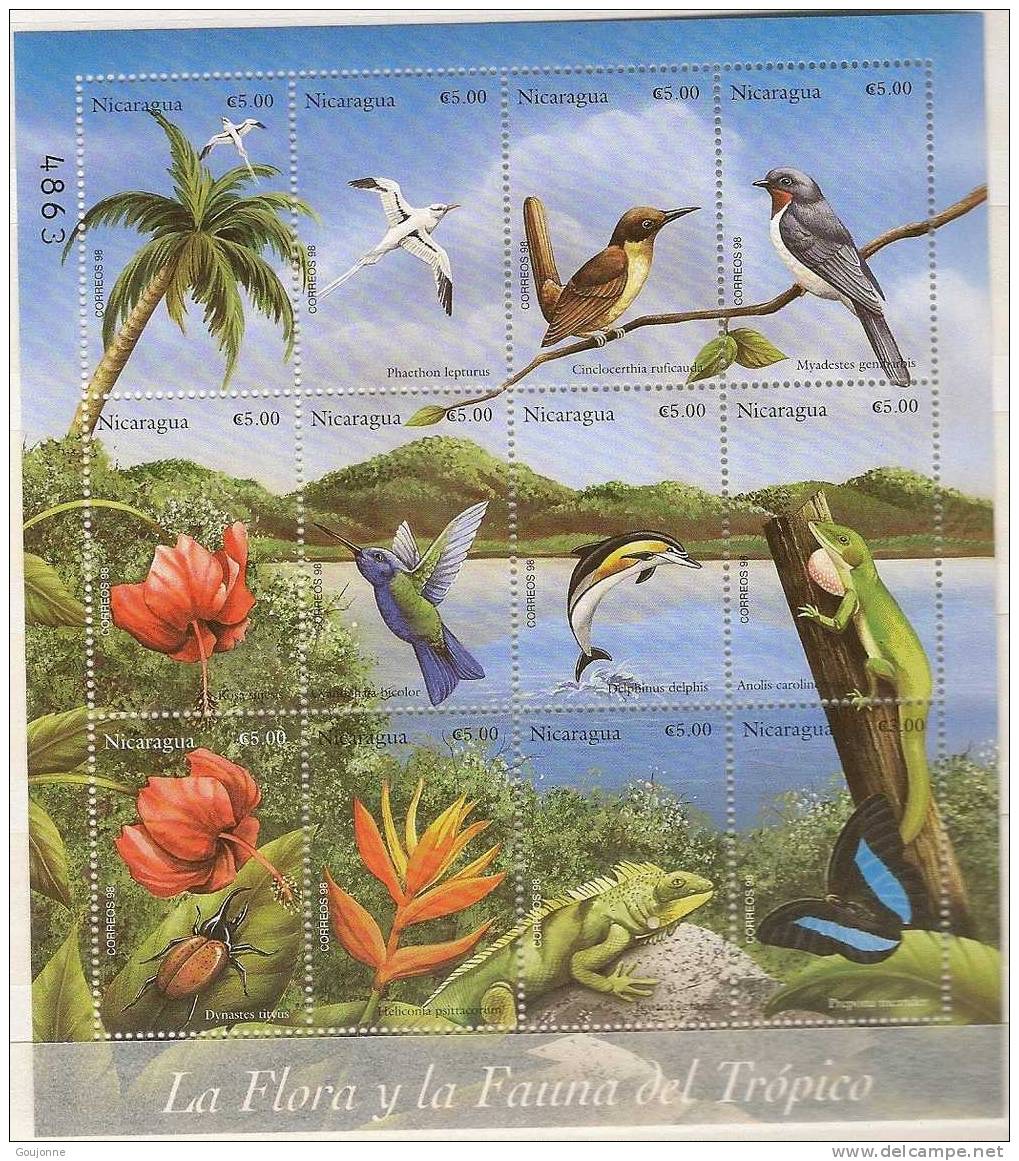 NICARAGUA  Faune Et Flore Des Tropiques  2274 2285** - Kolibries