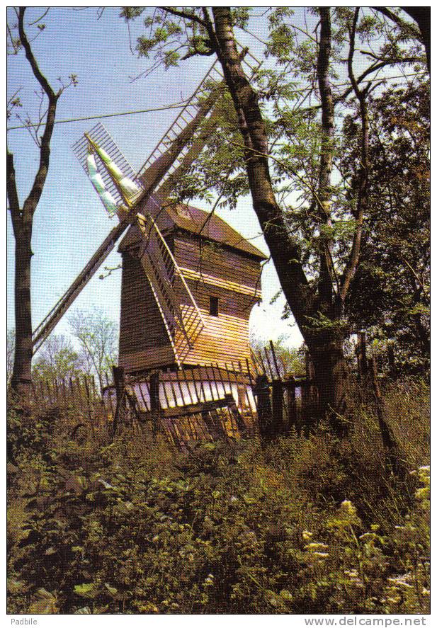 Carte Postale 95.  Sannois  Le Moulin Trés Beau Plan - Sannois