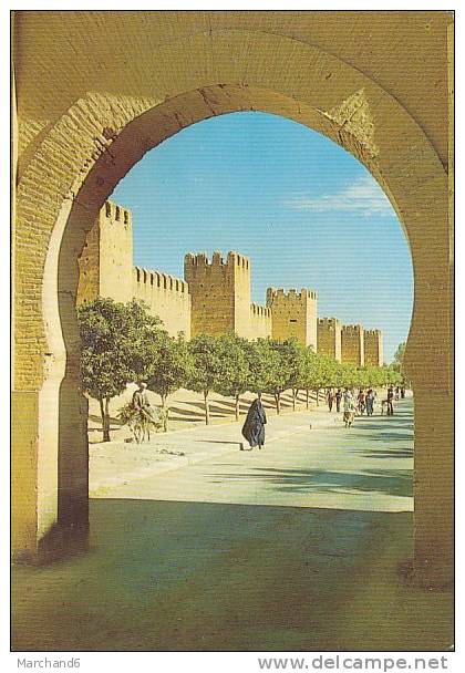 MAROC.TAROUDANT.REMPARTS LA KASBAH   ..MODERNE - Sonstige & Ohne Zuordnung