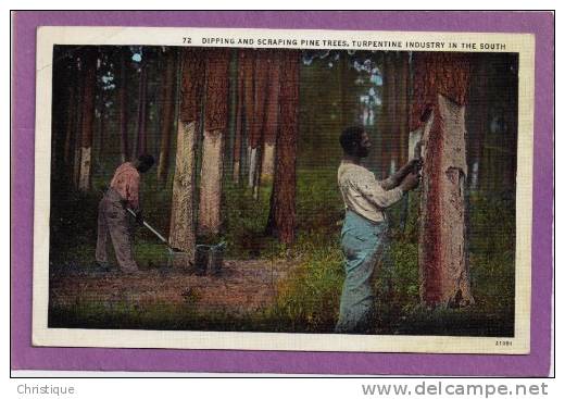 Dipping And Scraping Pine Trees. 1930-40s - Negro Americana