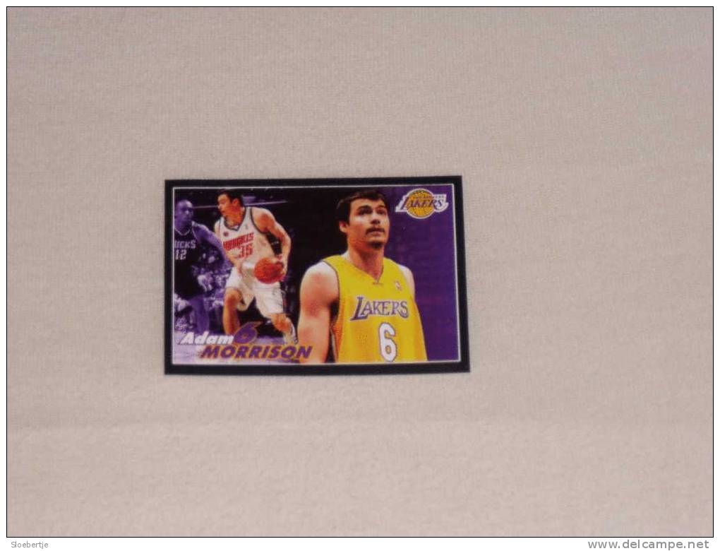 Adam Morrison - N° 285 - Panini 2009-10 NBA Basketball Stars - 2000-Now