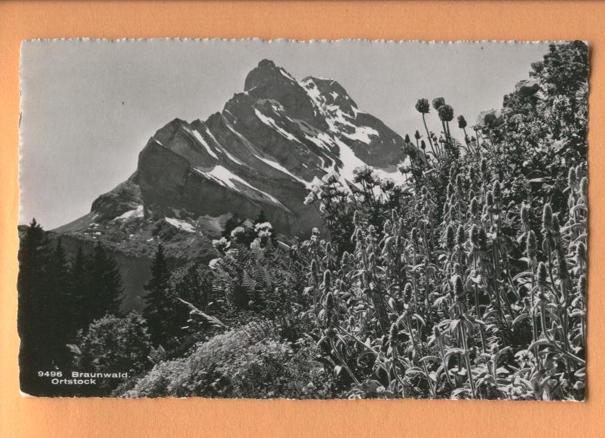 H1033 Braunwald Ortstock, Alpage, Fleurs De Montagne.Cachet Braunwald , En 1949.Beringer 9596 - Braunwald