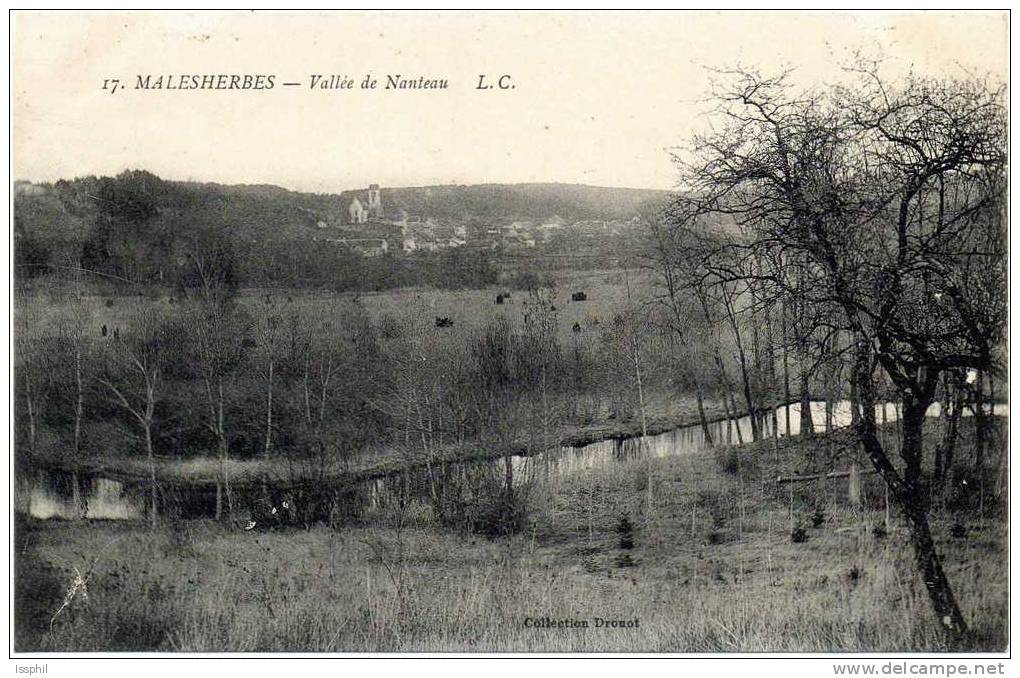 Malesherbes - Vallée De Nanteau - Malesherbes