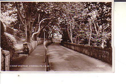 Isle Of Wight ; Chine Avenue, Shanklin, I.O.W - Altri & Non Classificati