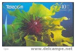 # NEW_ZEALAND NZ36S_3 Ocean Odyssey - Diadema Sea Urchin & Help Seaweed 10 Gpt 01.96 Tres Bon Etat - Nieuw-Zeeland