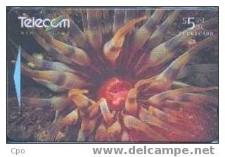 # NEW_ZEALAND NZ36S_1 Ocean Odyssey - Red Sea Anemone 5 Gpt 01.96  Tres Bon Etat - New Zealand