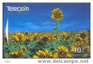 # NEW_ZEALAND NZ31S_3 Key Light - Flowers Series - Sunflowers 10 Gpt 01.96 -fleurs,flowers- Tres Bon Etat - Nieuw-Zeeland