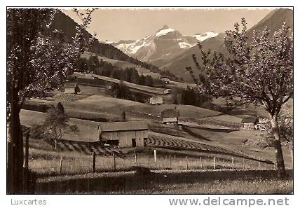 GSTAAD. OLDENHORN. - Gstaad