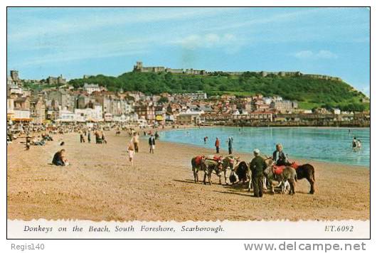 Scarborough, Donkeys On The Beach - Scarborough