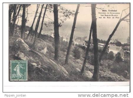 29 TREBOUL * Environs De Douarnenez - Les Sables-blancs Vus Du Bois De Pins * Belle CPA 1922 - Tréboul