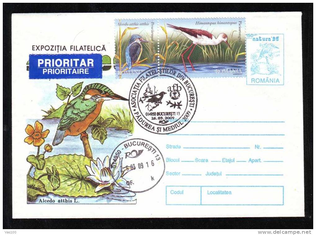 BIRDS - ALCEDO ATTHIS - ,1X ENTIER POSTAUX,COVER STATIONERY 1996,stamp Obliteration Concordante,ROMANIA. - Marine Web-footed Birds