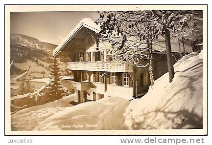 CHALET ALPINA. GSTAAD. - Gstaad