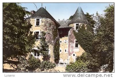 Chantonnay - Les Tours Du Château Du Pally - Chantonnay