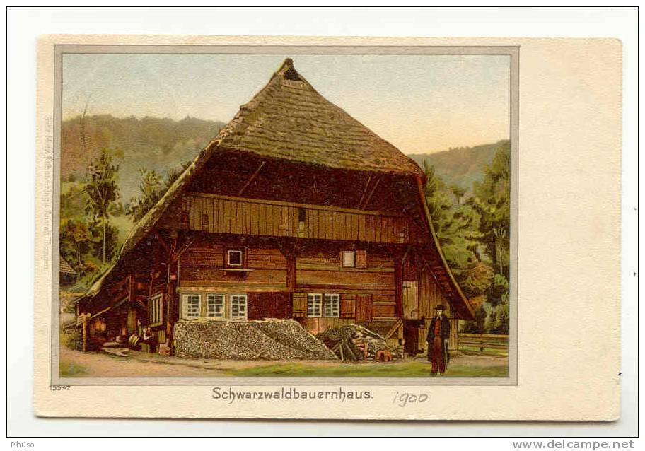 D1070 :SCHWARZWALDBAUERNHAUS - Hornberg