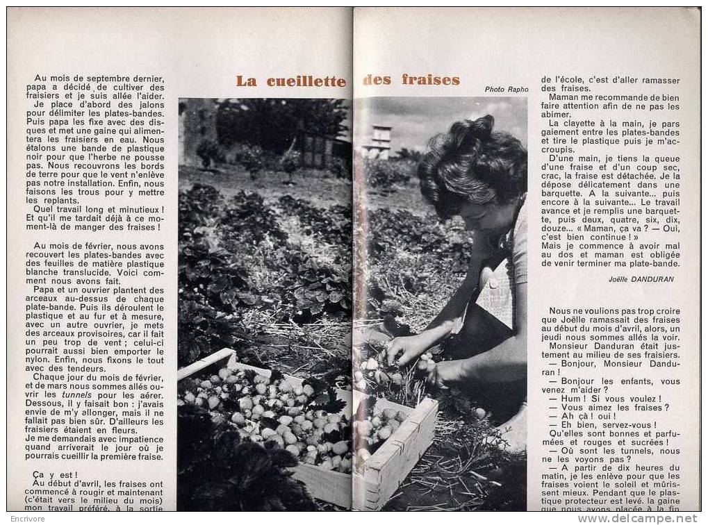 BT n°666 mai 1968 Le Kibboutz  AIN HAROD IHOUD Israel Juif Hebreux Hava et Yacov Cohen EIN HAROD - fraises FAGOTIER