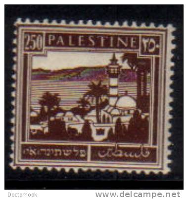 PALESTINE  Scott #  82*  F-VF MINT LH - Palästina