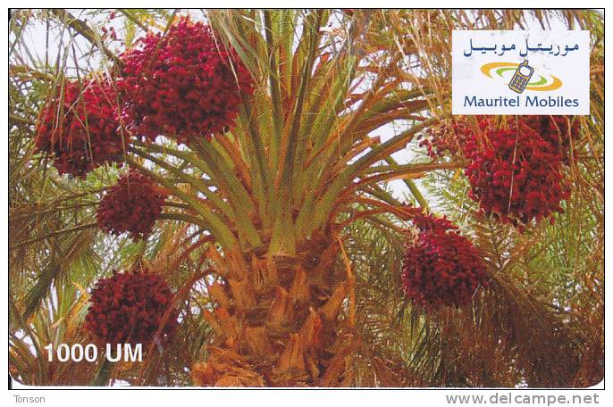 Mauritania,  1000 UM,  Date Palm, 2 Scans. - Mauritania