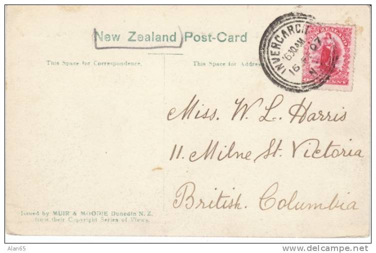 Invercargill New Zealand, Cathedral Church, On C1900s Vintage Postcard - New Zealand