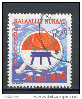 Greenland 1993 Mi. 230  4.00 Kr International Year Of The Natives Internationales Jahr Der Ureinwohner - Gebraucht