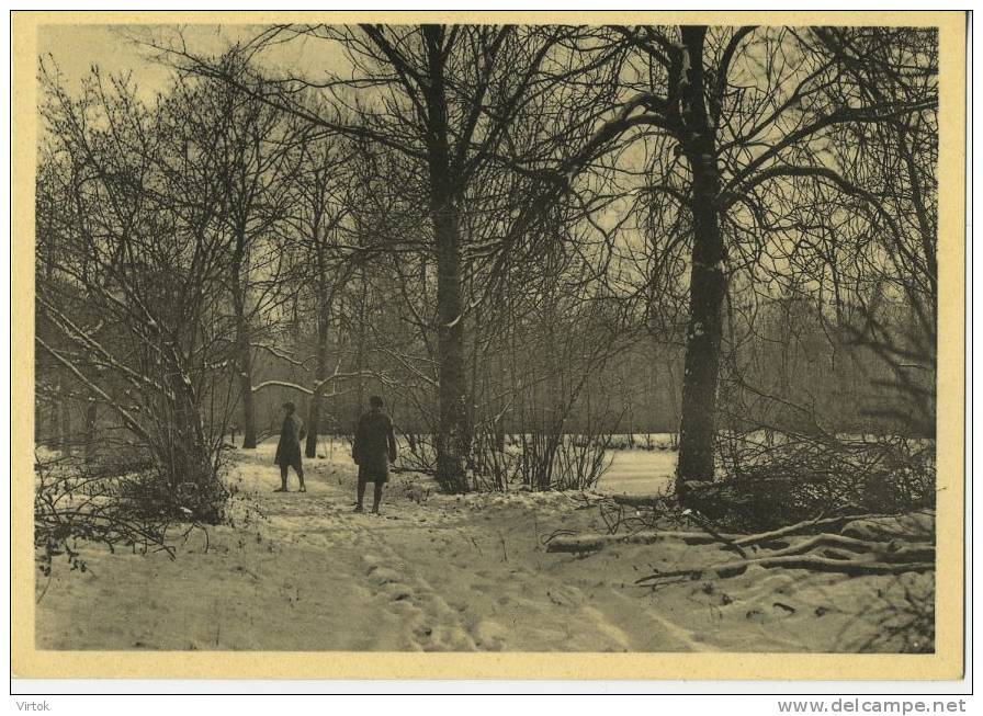 Kortenberg ´ Abdij Cortenberg ´  :  Pakaanblik In Den Winter   ( Groot Formaat ) - Kortenberg