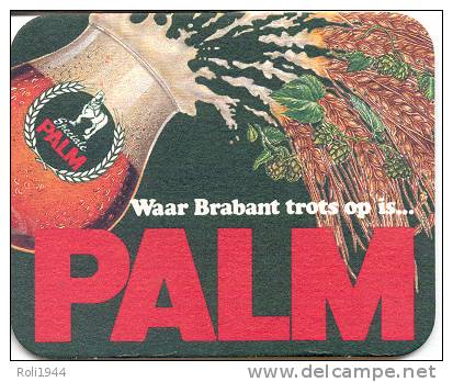 #CY005 Viltje Palm - Sous-bocks