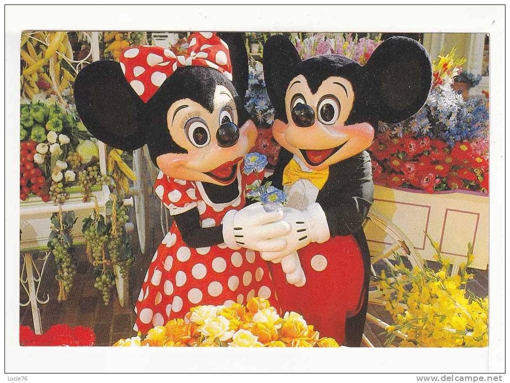 WALT DISNEY WORLD - In This Picture Perfect Setting  MICKEY Has Hundreds Of Brilliantly Colored Blossoms To Choose  From - Disneyworld