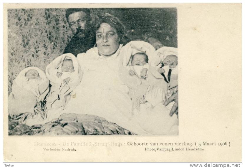 Hemixem ( Hemiksen ) - De Familie L. Struijf-Huijs : Geboorte Van Eenen Vierling ( 5 Maart 1906 ) - Hemiksem