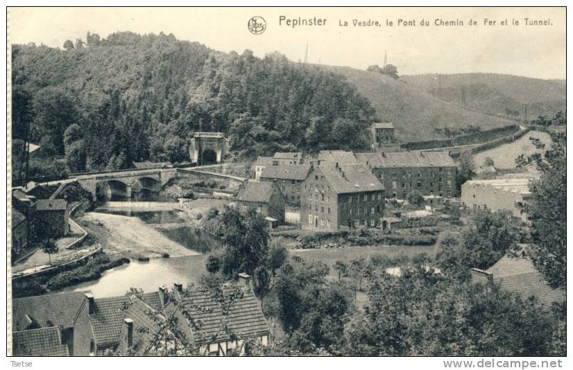 Pepinster - La Vesdre, Le Pont Du Chemin De Fer Et Le Tunnel  -1929 - Pepinster