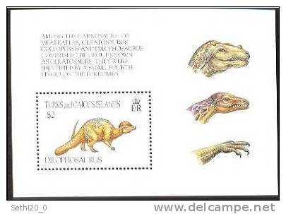 Turques Et Caiques  Prehistory/Prehistoire Dinosaurs - Prehistory