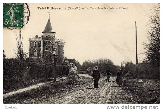 TRIEL - La Tour Dans Les Bois De L´Hautil - Triel Sur Seine