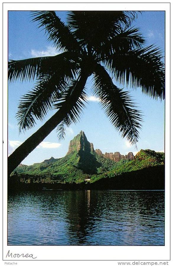 Polynésie Française - Tahiti - Baie De Opunohu Moorea - Neuve - Aquarupella - Tahiti