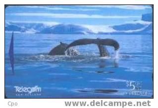# NEW_ZEALAND NZ38S_1 Antactic Series II - A Humpback Whales 5 Gpt 01.97 -animal- Tres Bon Etat - New Zealand